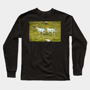 Two sheep Long Sleeve T-Shirt